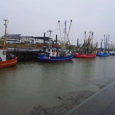 Nordsee Und Natur. Gemuetliche Fewo Mit Deichblick Dorumer Neufeld Exteriér fotografie