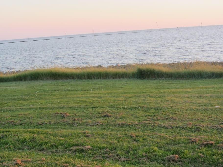 Nordsee Und Natur. Gemuetliche Fewo Mit Deichblick Dorumer Neufeld Exteriér fotografie