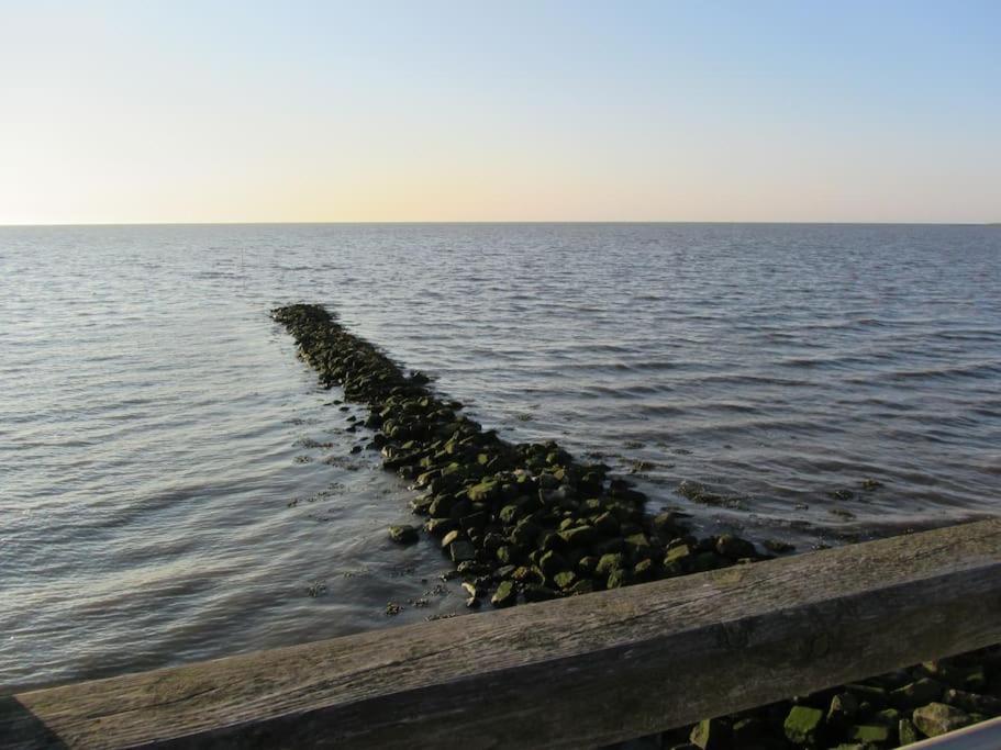 Nordsee Und Natur. Gemuetliche Fewo Mit Deichblick Dorumer Neufeld Exteriér fotografie